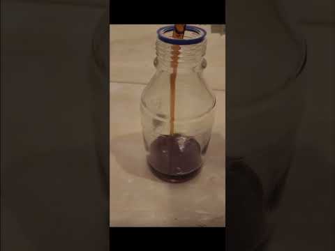 دهن عود كرابي ملكي Oudwood Agarwood تايلند Oud شعر تيك توك ترند تيك توك Agaroud ترند