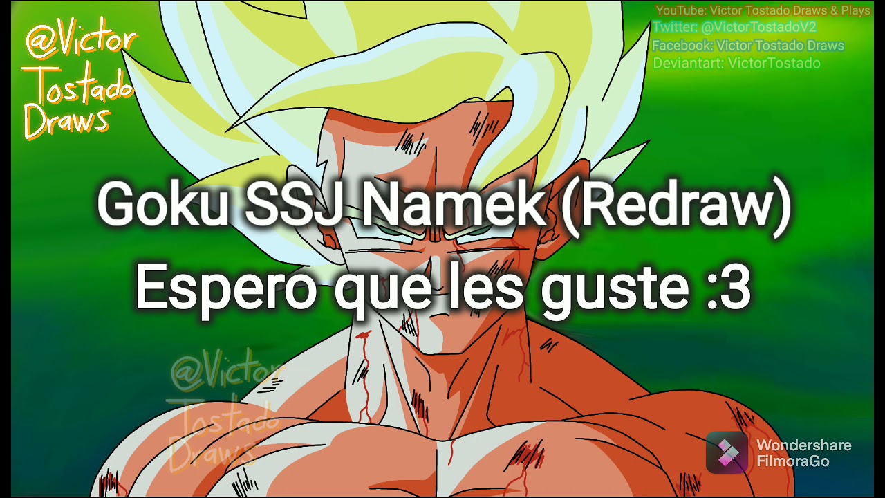 Goku SSJ Nameku (Redraw) - Víctor Tostado Draws