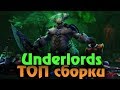 Новый Чемпион в рейтинге - Выживание Dota Underlords