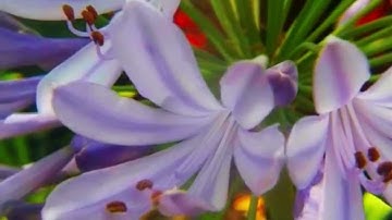 blurfix3 +20 filters