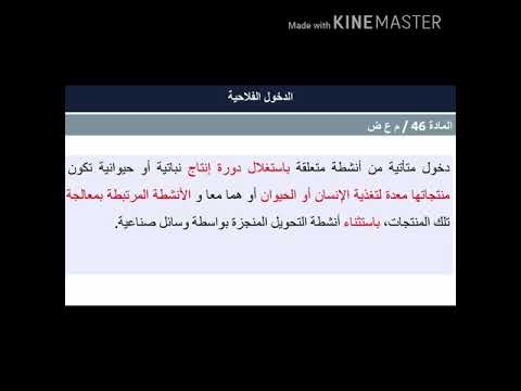 فيديو: ما معنى الوعاء؟