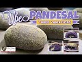 UBE PANDESAL, THREE VARIATIONS (Mrs.Galang's Kitchen S12 Ep11)