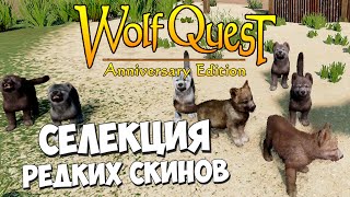 видео: Ты только посмотри!! Обожаю эту волчицу! WolfQuest: Anniversary Edition # 115 картинка: Ты только посмотри!! Обожаю эту волчицу! WolfQuest: Anniversary Edition # 115
