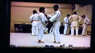 Dave & Angela Kaeshi No Kata Practice 1992