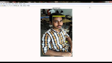 face detection, crop, resize and save into desired location using matlab