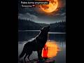 Pobre tonto enamorado-temerarios #musicaromantica #unpocodetuamor #musica #amor 💔