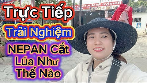 Mỵ vlog đang phát trực tiếp! Trải Nghiệm Nepan Cắt Lúa Như Thế Nào.#Mỵvlog