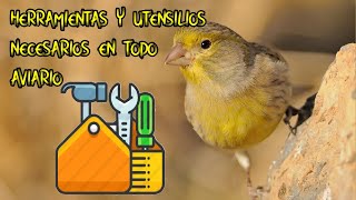 Herramientas y utensilios necesarios en todo aviario.