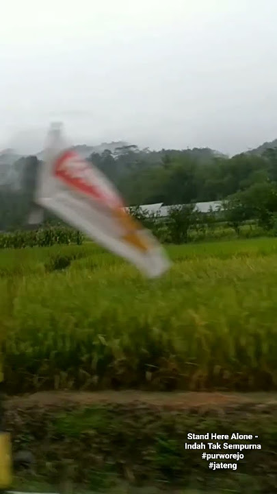 Stand Here Alone - Indah Tak Sempurna ( Cover ) #purworejo#jateng