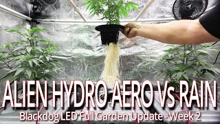 Alien Hydro Aero Vs Rain Week 2, Blackdog LED Full Garden Update Net Worth