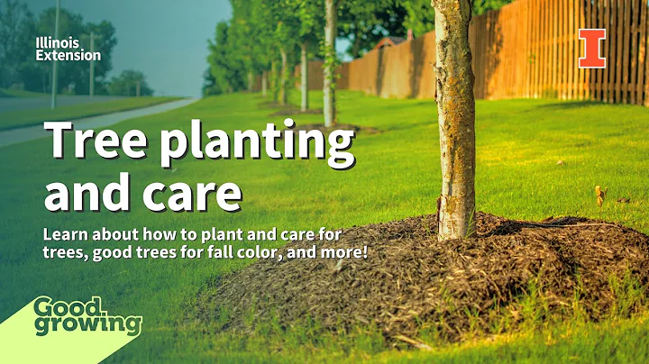 Tree planting and care with Emily Swihart | #GoodG...