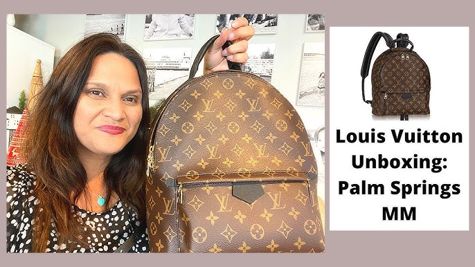 Louis Vuitton 2020 Pre-owned Palm Springs mm Backpack - Brown