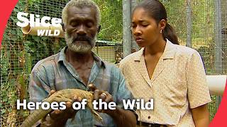 Guardians of Wildlife: Protecting Endangered Species Worldwide | SLICE WILD | FULL DOC