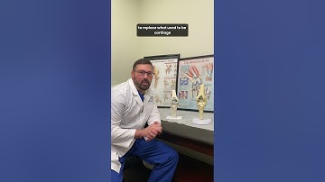 Partial vs. Total Knee Replacement - Dr. Thad Dean