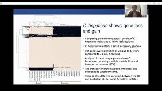 S6 Novel Metabolic Genes and an Altered Phasome in Campylobacter hepaticus Genomes are Potential Det