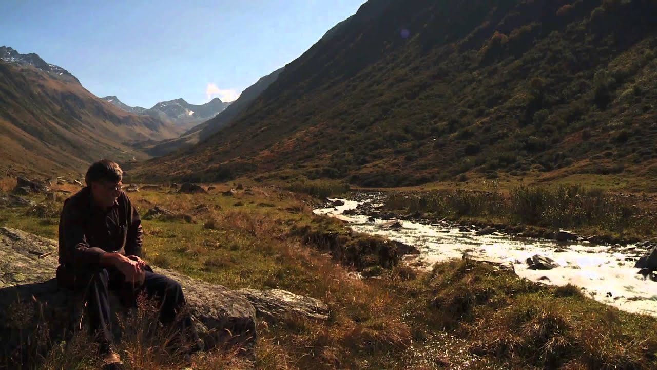 MÊŞVAN | ARICI | DER IMKER [ Trailer ]