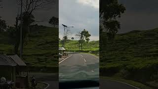 Engkang - Nina Gasentra