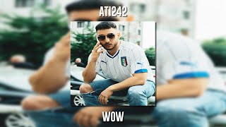 Ati242 - Wow Speed Up