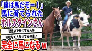 【2ch動物スレ】ロシア農家「冬長くて牛がミルク出さんな…せや！VRで草原見せたろ！」→牛「うひょー(ミスクｼﾞｮﾎﾞﾎﾞﾎﾞﾎﾞ)」wwwww【なんj/にちゃん 面白いスレ/X】