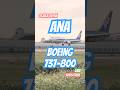 #boeing737 #伊丹空港 #respect #japan #osaka #ana #landing #boeinglanding #butterlanding