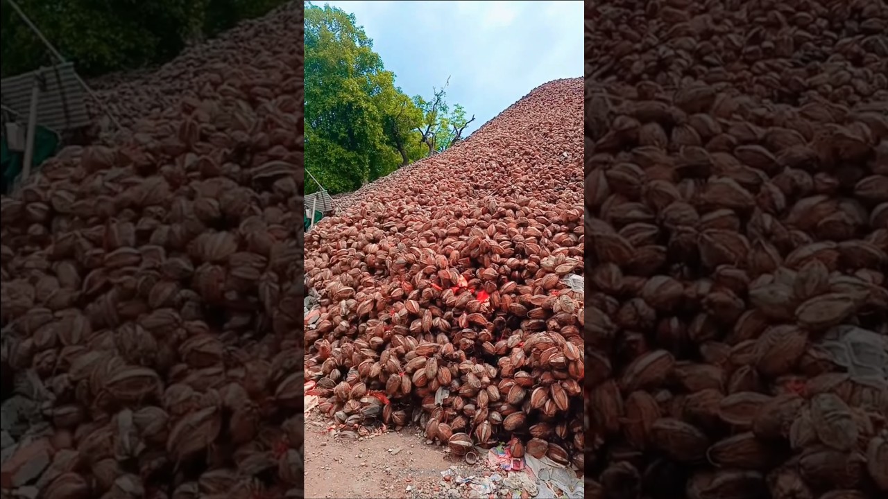 What Makes The Famous Gela Hanuman Temple of Gujarat So SPECIAL?