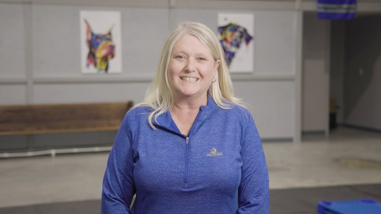 Hometown Highlights | The Dog Hub, Westminster, SC