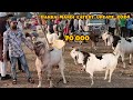 👉🏻BHOPAL BAKRA MANDI VLOG 2024😍@Mr.Mehraj vlog#bakramandi#Bhopal#youtubevideo#vilral#status#shot