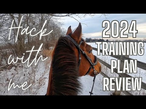 Did I accomplish my 2024 TRAINING GOALS with my young horse? Dressage, hacking, show jumping and XC