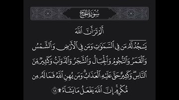 سورة الحج الآية 18