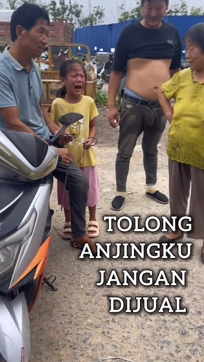 Tolong Anjingku Jangan Dijual #shorts