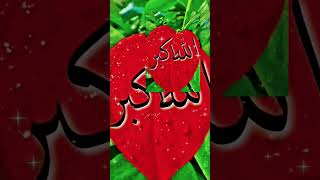#love Mohammed 🕋 ♥️ 🤲 🥰 🕋 ♥️ Allah hafiz