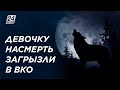 Неизвестный зверь загрыз девочку в Усть-Каменогорске