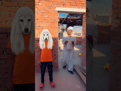 اتخرع وجري ههه
