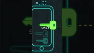 Data Encryption in the Cloud