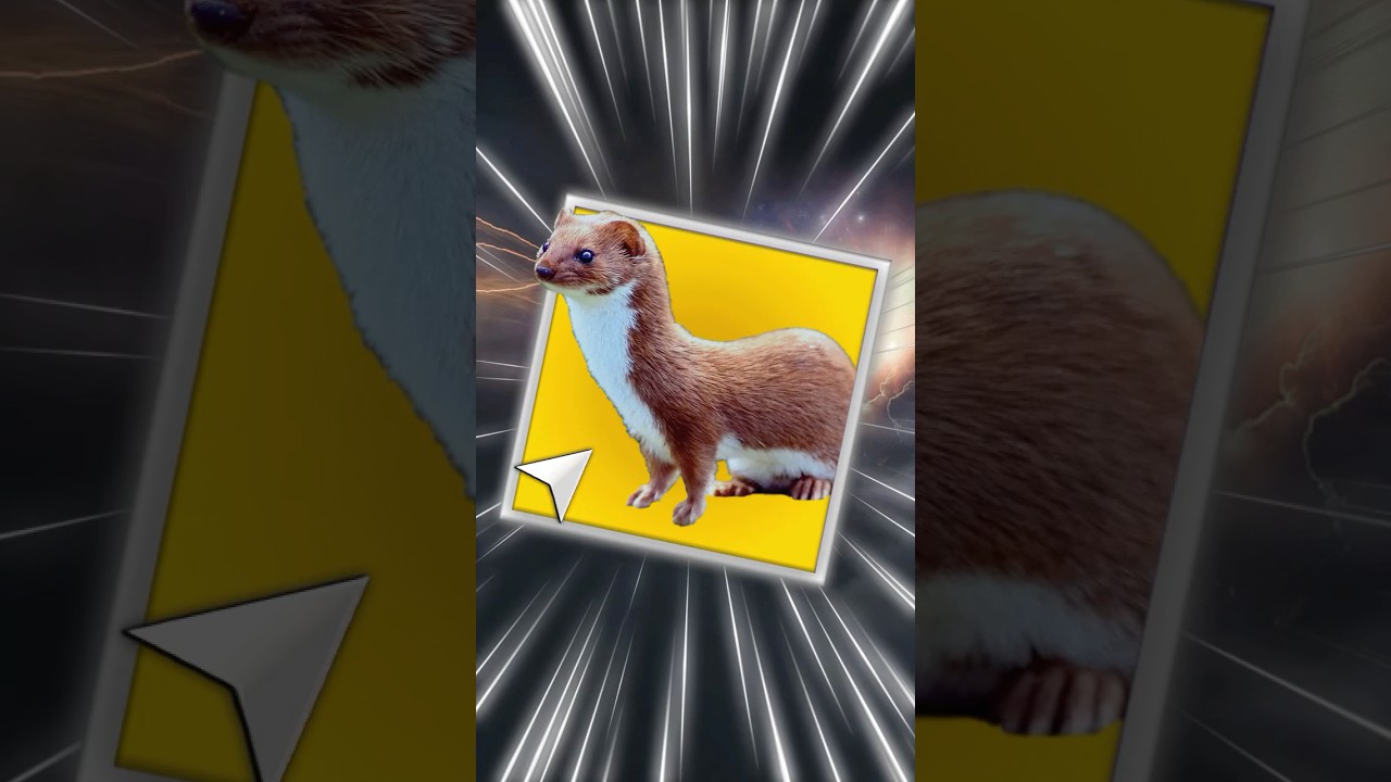 There's a Secret Animal in Vesper's Host