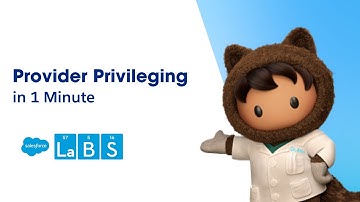 Provider Privileging In 1 Minute