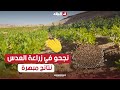 تجربة هي الأولى من نوعها فلاح من الوادي ينجح في زراعة العدس الذي تأقلم مع ظروف الولاية المناخية تجربة هي الأولى من نوعها فلاح من الوادي ينجح في زراعة العدس الذي تأقلم مع ظروف الولاية المناخية