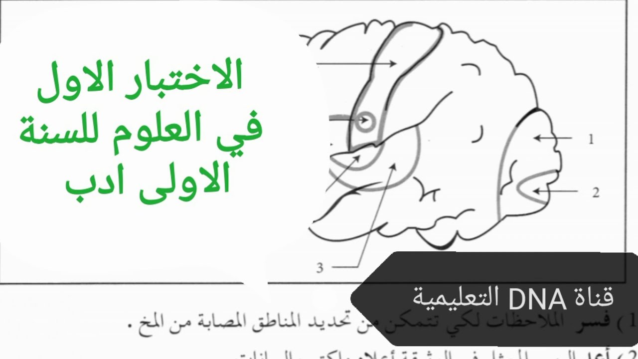 الاختبار الاول في العلوم الطبيعية للسنة الاولى ثانوي ادب