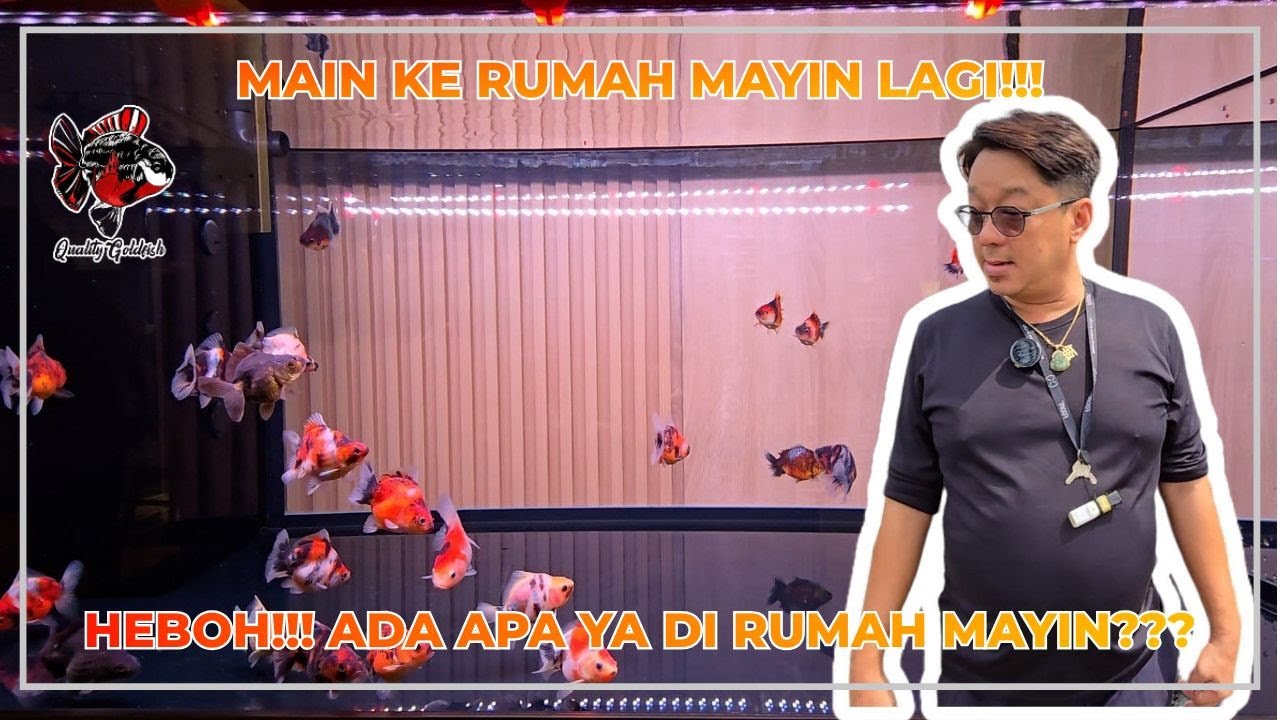 MAIN KE RUMAH MAYIN LAGI!!! HEBOH!!! ADA APA YA DI RUMAH MAYIN???