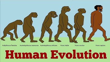 Human Evolution | A mini project OpenGL