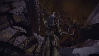 ELDEN RING - 2024 - DeepRoots Farm Jump - Easy Reach -