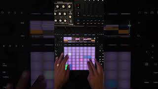 How to make French House #push3 #ableton