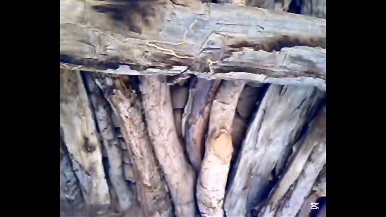 عشاق التأريخ والآثاروالسياحة داخل المملكة شاهدوا قلعة أو قصر الشيخ محمد أبو صمة جازان - العارضة 