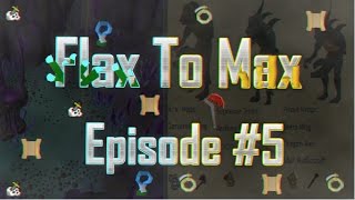 Flax To MAX - Episode #5