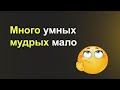 Вы режиссер своей судьбы. #благодарность #упражнениядлянастроения #борьбасунынием #мышление