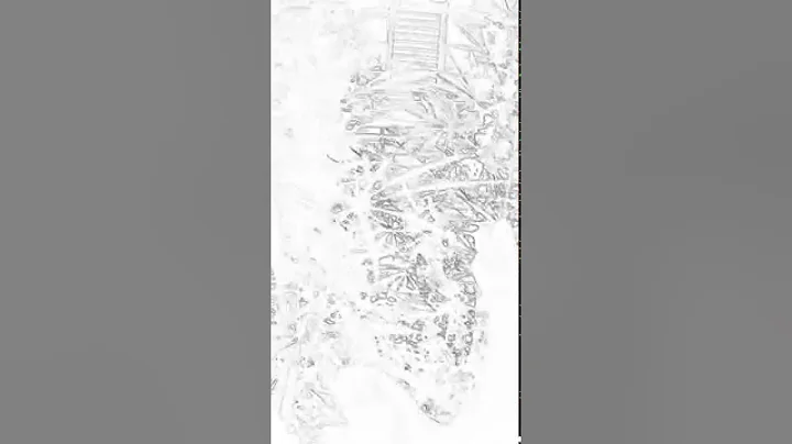Video sketch of my lady