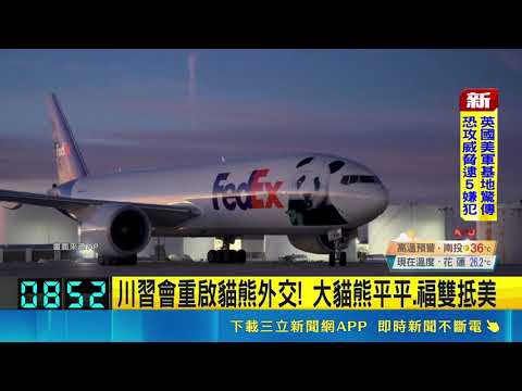 $6 Million Facility Upgrade! US-China Panda Diplomacy Resumes as Giant Pandas Ping Ping and Fu Sh...