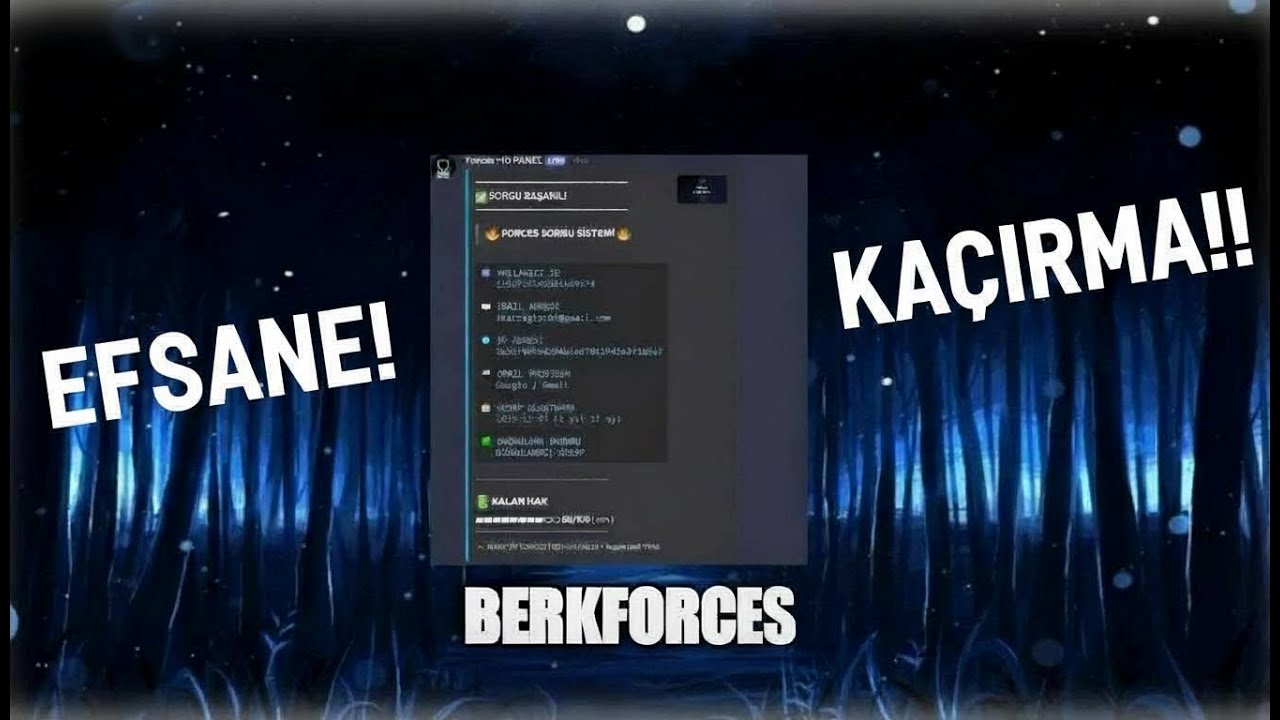 DİSCORD EN GELİŞMİŞ İD SORGU BOT!