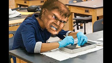 Dissecting Doom Mods