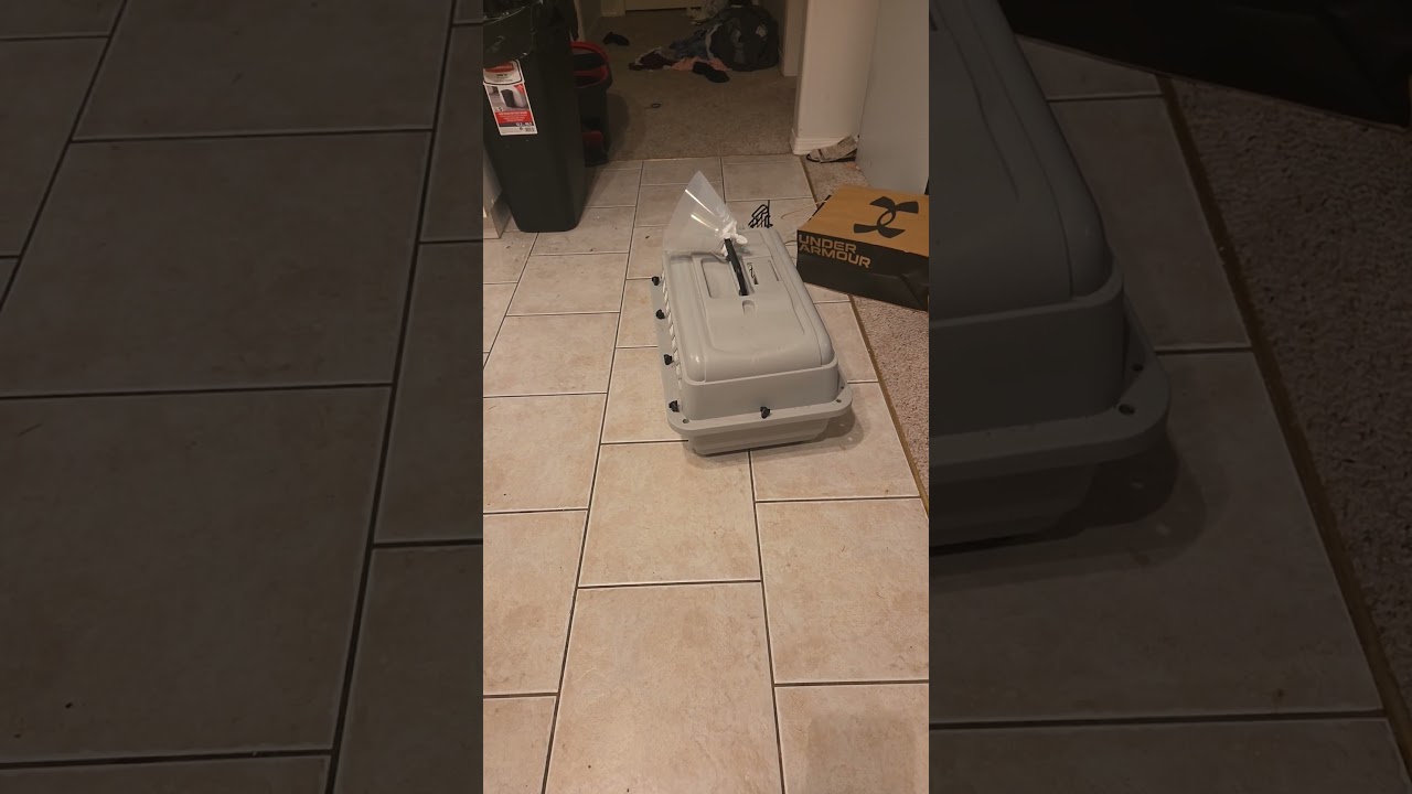 Зачем надевать защитный воротник на клетку, а не на голову кошки? 